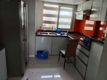 1 BHK Apartment For Rent in Marble Arch Malad West Malad West Mumbai  7399377