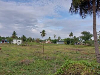 Commercial Land 1 Acre For Resale in Suba Nagar Dindigul  7399423