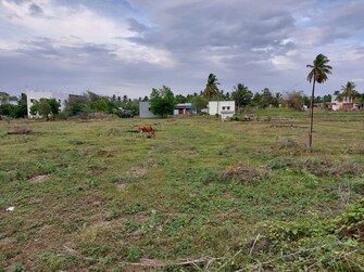 Commercial Land 1 Acre For Resale in Suba Nagar Dindigul  7399423