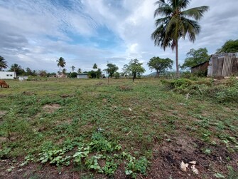 Commercial Land 1 Acre For Resale in Suba Nagar Dindigul  7399423