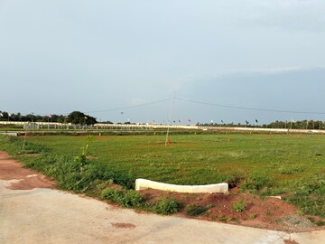 Plot Area in  Plot at Thanjore Road – for Sale