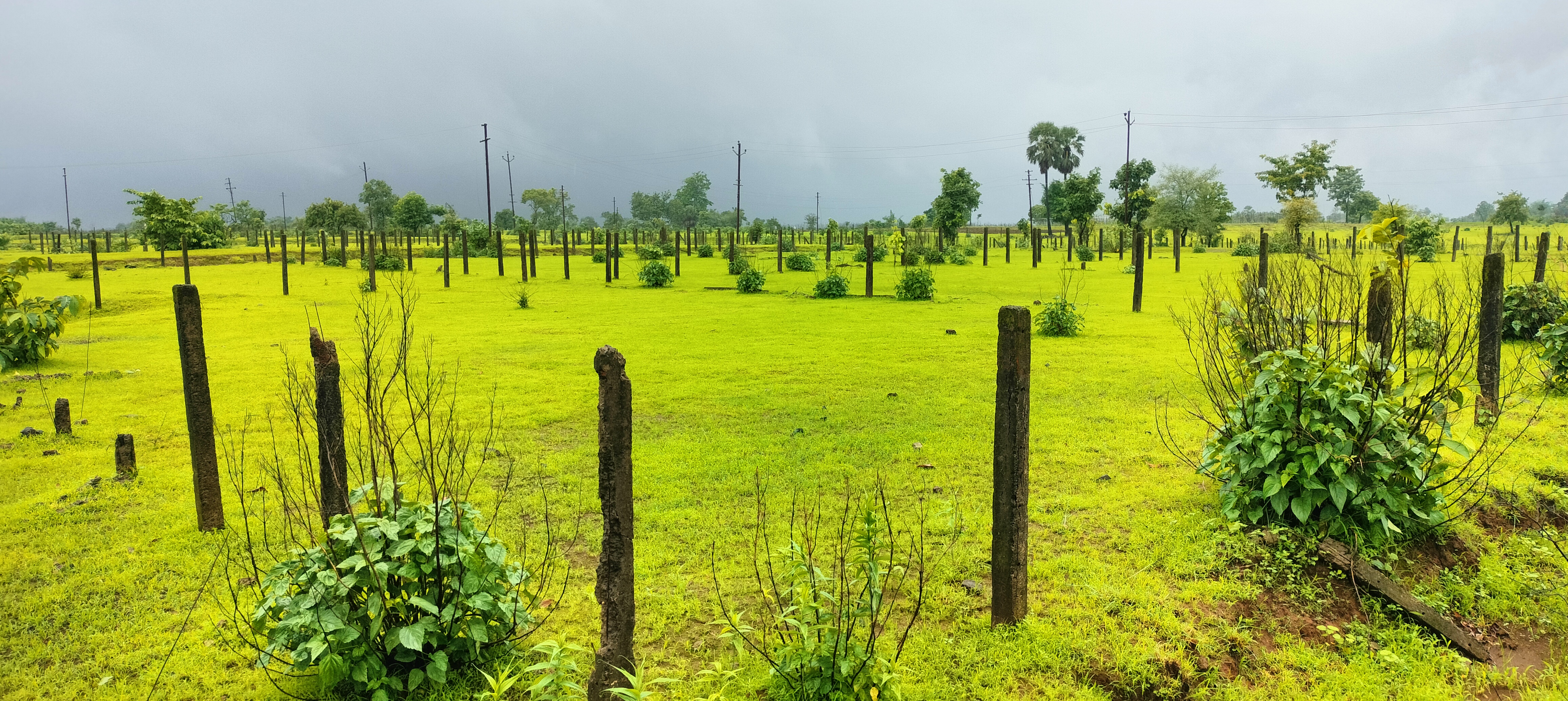 Plot For Resale in Murbad Karjat Road Thane  7399928