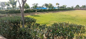 Plot Area in  Plot at Adore Smart City, Sector 97 – for Sale