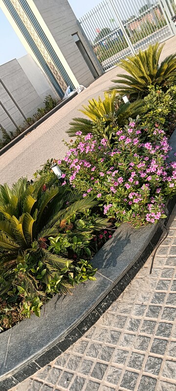  Plot – Exterior View View at Adore Smart City, Sector 97 - for Sale