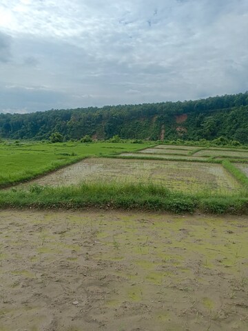  Plot For Sale in Shimla Bypass Road