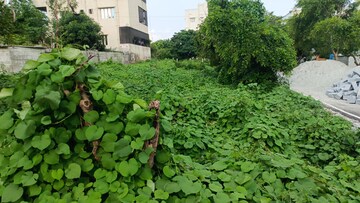  Plot – Garden View at Banashankari 6th Stage - for Sale