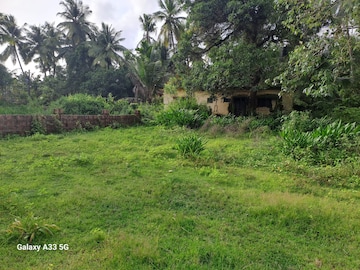 Plot For Resale in Kodibag Karwar  7401013