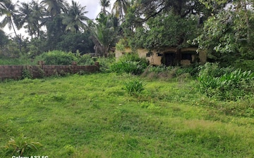 Plot For Sale in Kodibag