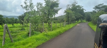  Plot – Exterior View View at Mangaon - for Sale