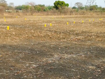 Plot Area in  Plot at Katol rd – for Sale