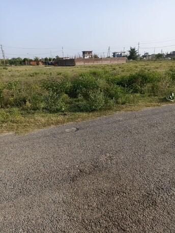 Plot For Resale in Saini Greater Noida  7401346