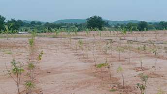 Plot For Resale in Bhongiri Warangal Highway Hyderabad  7401364