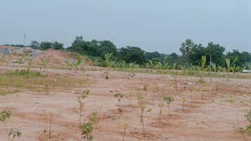 Plot Area in  Plot at Bhongiri Warangal Highway – for Sale