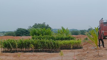 Plot Area in  Plot at Bhongiri Warangal Highway – for Sale