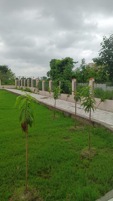  Plot – Garden View at Dongargaon - for Sale