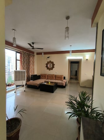 1 BHK Apartment For Rent in Jaypee Green Sea Court Gn Swarn Nagri Greater Noida  7401440