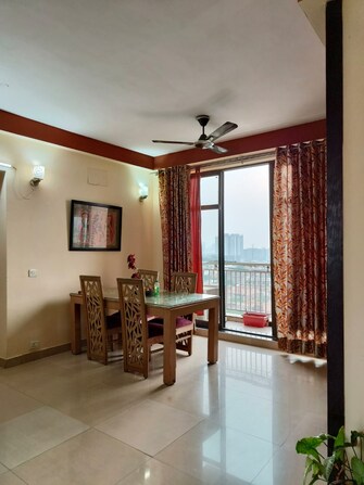 1 BHK Apartment For Rent in Jaypee Green Sea Court Gn Swarn Nagri Greater Noida  7401440