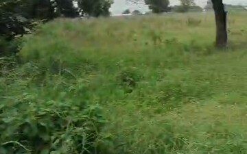 Land For Sale in Pragati Yadarushi, Komatikunta