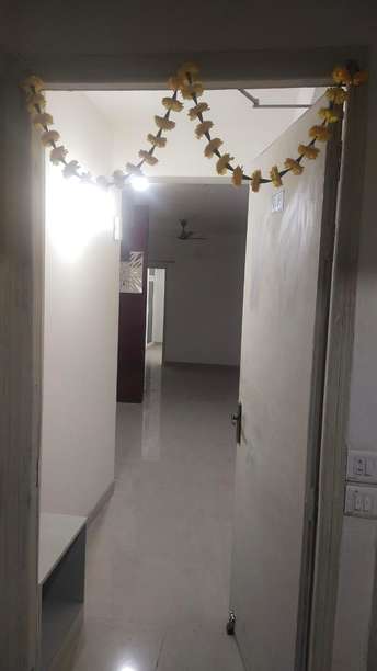 2 BHK Apartment For Rent in Signature Global Synera Sector 81 Gurgaon  7401512