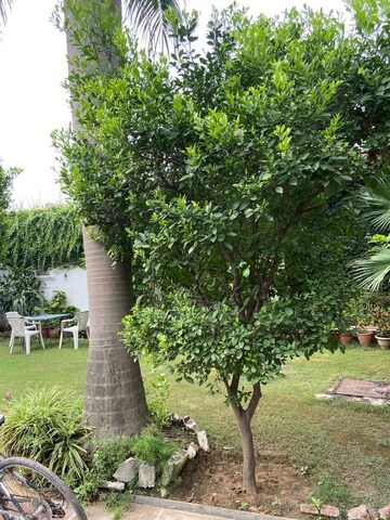4 BHK Villa – Garden View at Sainik Farm - for Sale