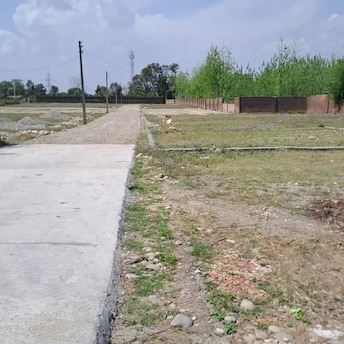 Plot For Resale in Dhaulas  Dehradun  7402243