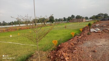 Plot Area in  Plot at Barela Road – for Sale