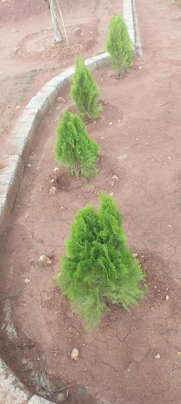  Plot For Sale in Sri Bhumi Eeshaanya, Kankipadu