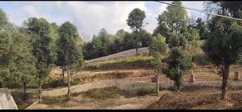 Plot For Resale in Mukteshwar Nainital  7403540