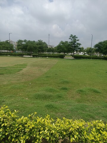 Plot Area in  Plot at Sector 84 – for Sale