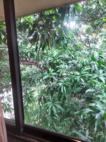 रेसिडेंशियल फ्लैट वर्ग फुट फॉर रेंट इन चेंबुर मुंबई  7404523