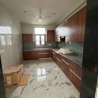 5 BHK Builder Floor For Rent in Sector 51 Noida  7404565