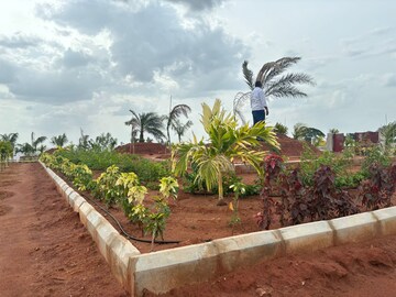  Plot For Sale in Kankipadu