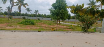 Plot Area in  Plot at Bagaluru  – for Sale