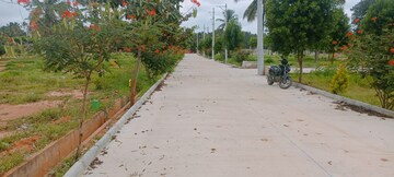 Plot Area in  Plot at Bagaluru  – for Sale