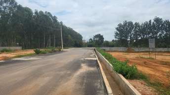 Plot For Resale in Bettahalsoor Bangalore  7405721