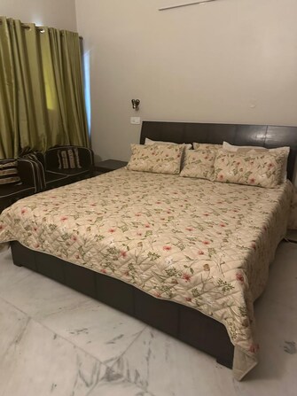 3 BHK Independent House For Rent in Sector 36 Chandigarh  7405841