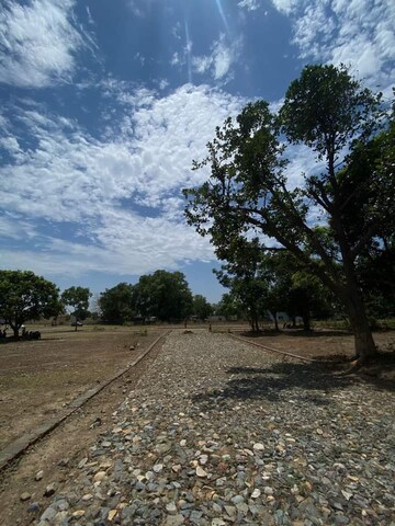  Plot For Sale in Bhauwala