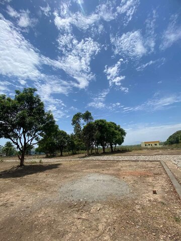 Plot Area in  Plot at Bhauwala – for Sale