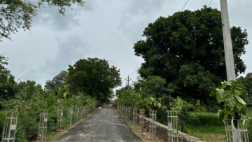 Plot Area in  Plot at Titardi – for Sale