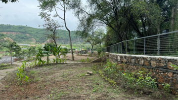 Plot Area in  Plot at Titardi – for Sale