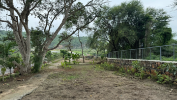 Plot Area in  Plot at Titardi – for Sale