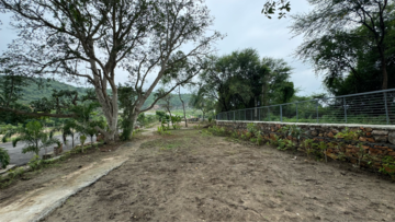 Plot Area in  Plot at Titardi – for Sale