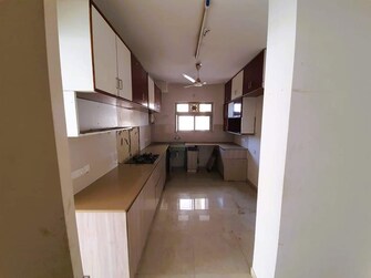 3 BHK Apartment For Rent in Hiranandani Arlington Ghodbunder Road Thane  7406679