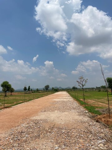  Plot – Exterior View View at Chaumuhan - for Sale