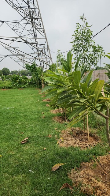  Plot – Exterior View View at Chaumuhan - for Sale