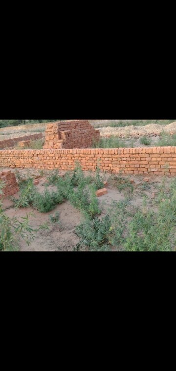 Plot – Exterior View View at Nehra Villa, Sector 49 - for Sale