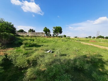 Plot Area in  Plot at Iim Road – for Sale