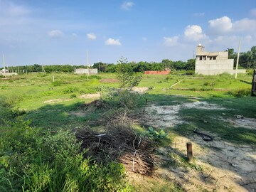 Plot Area in  Plot at Iim Road – for Sale