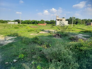 Plot Area in  Plot at Iim Road – for Sale