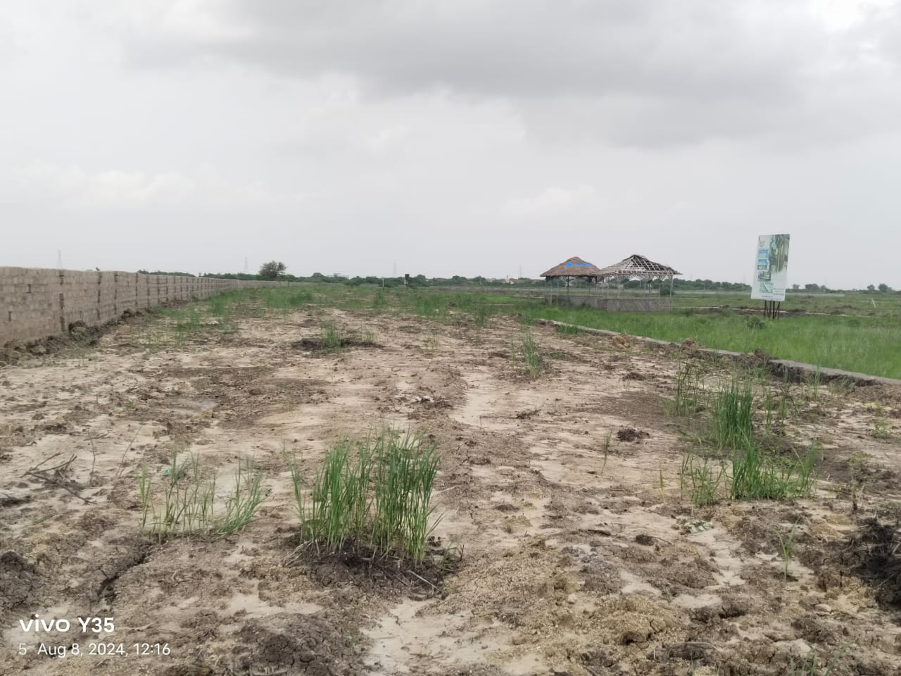 Plot For Resale in Dholera Ahmedabad  7407545